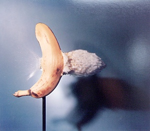 Image of Bullet Through Banana