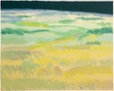 Image of Field #1